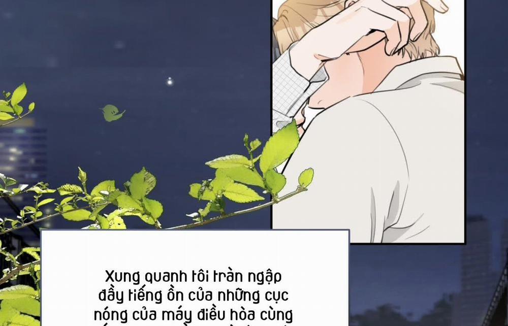 Tình Mình Khó Nói 12 trang 115