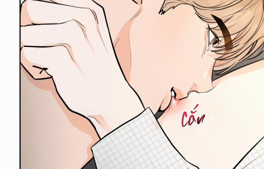 Tình Mình Khó Nói 12 trang 162