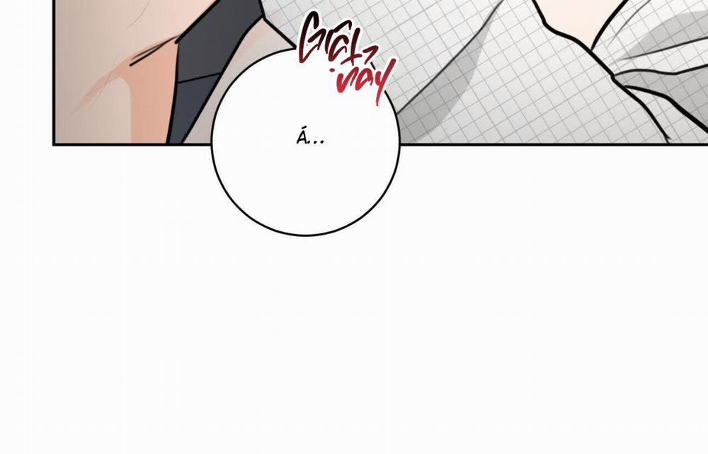 Tình Mình Khó Nói 12 trang 163