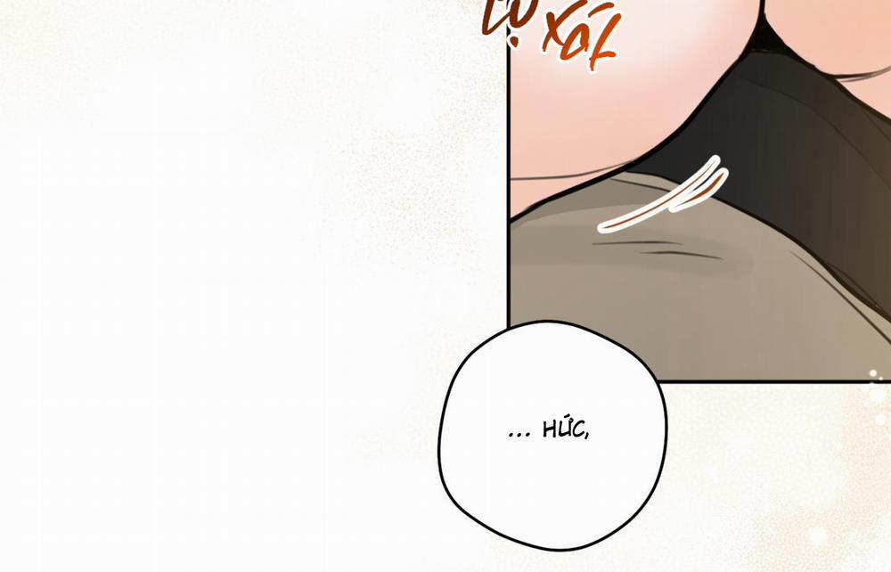 Tình Mình Khó Nói 12 trang 215