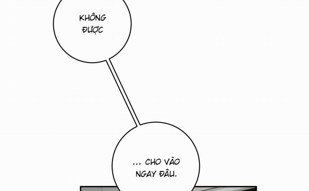 Tình Mình Khó Nói 13 trang 12