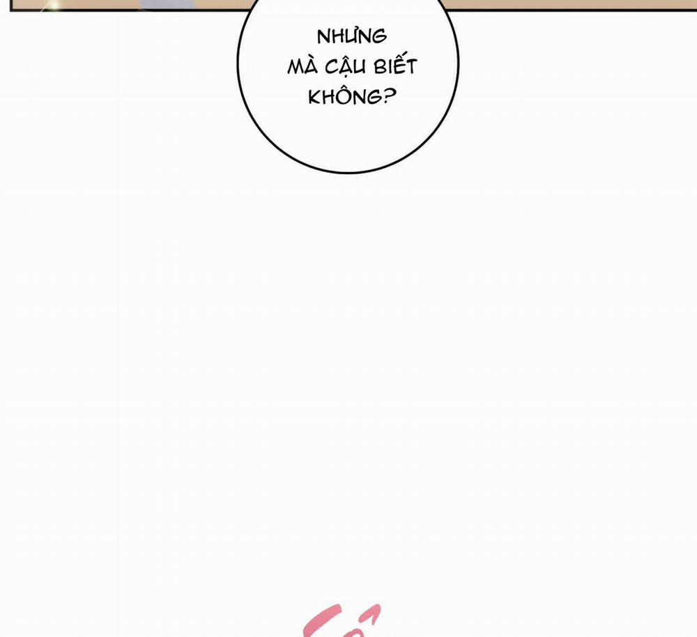 Tình Mình Khó Nói 7 trang 104