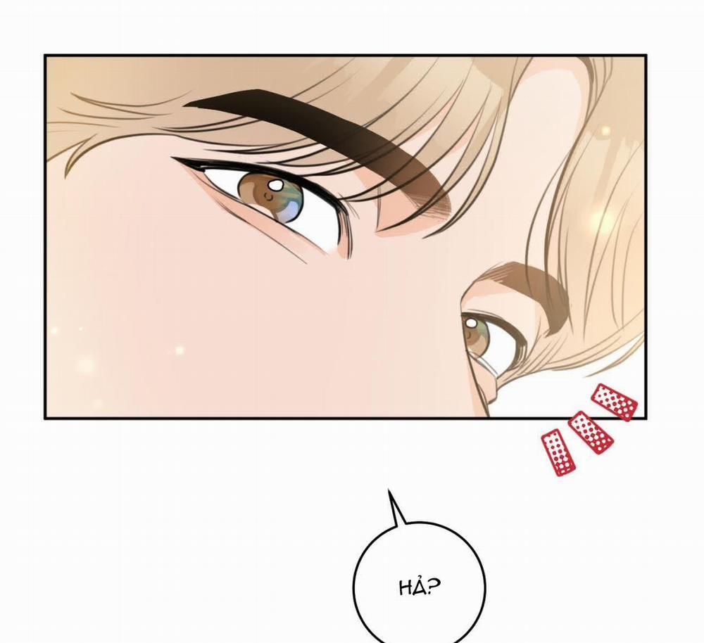 Tình Mình Khó Nói 8 trang 101