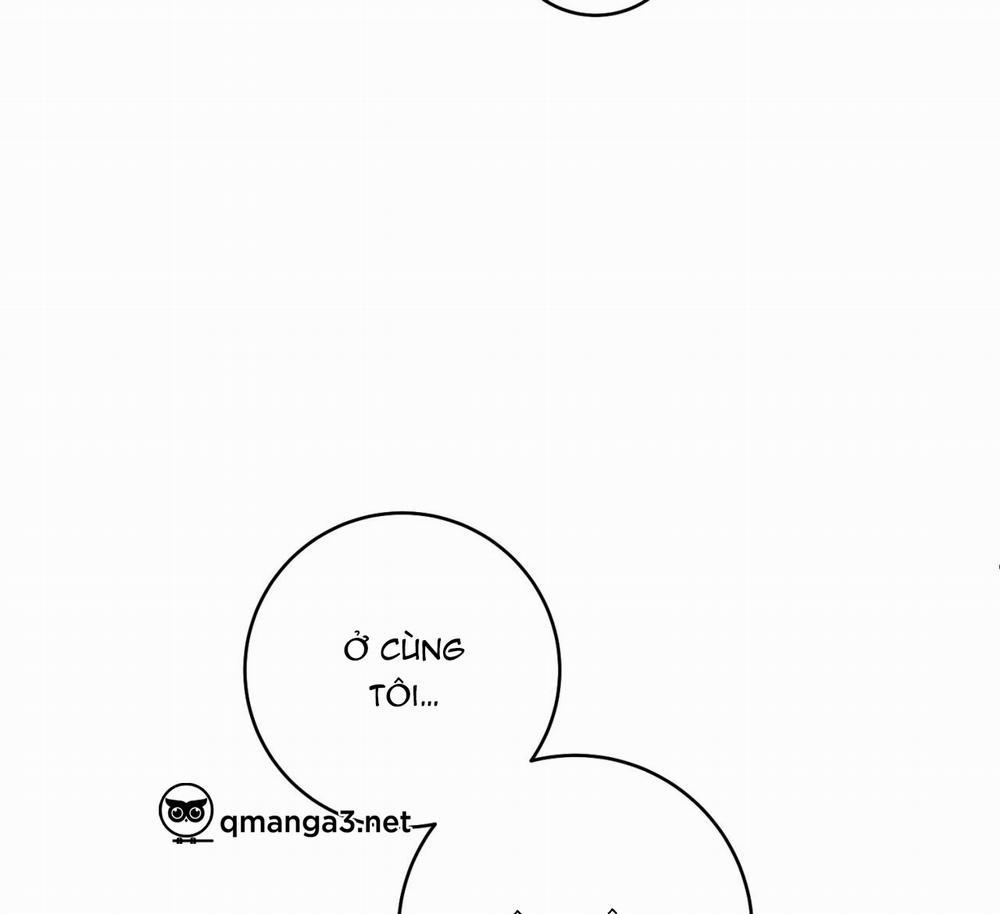 Tình Mình Khó Nói 8 trang 102