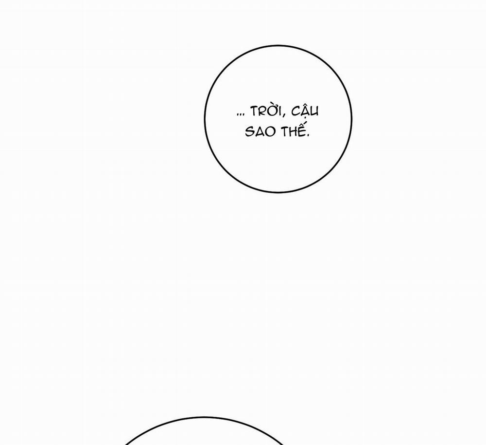 Tình Mình Khó Nói 8 trang 113