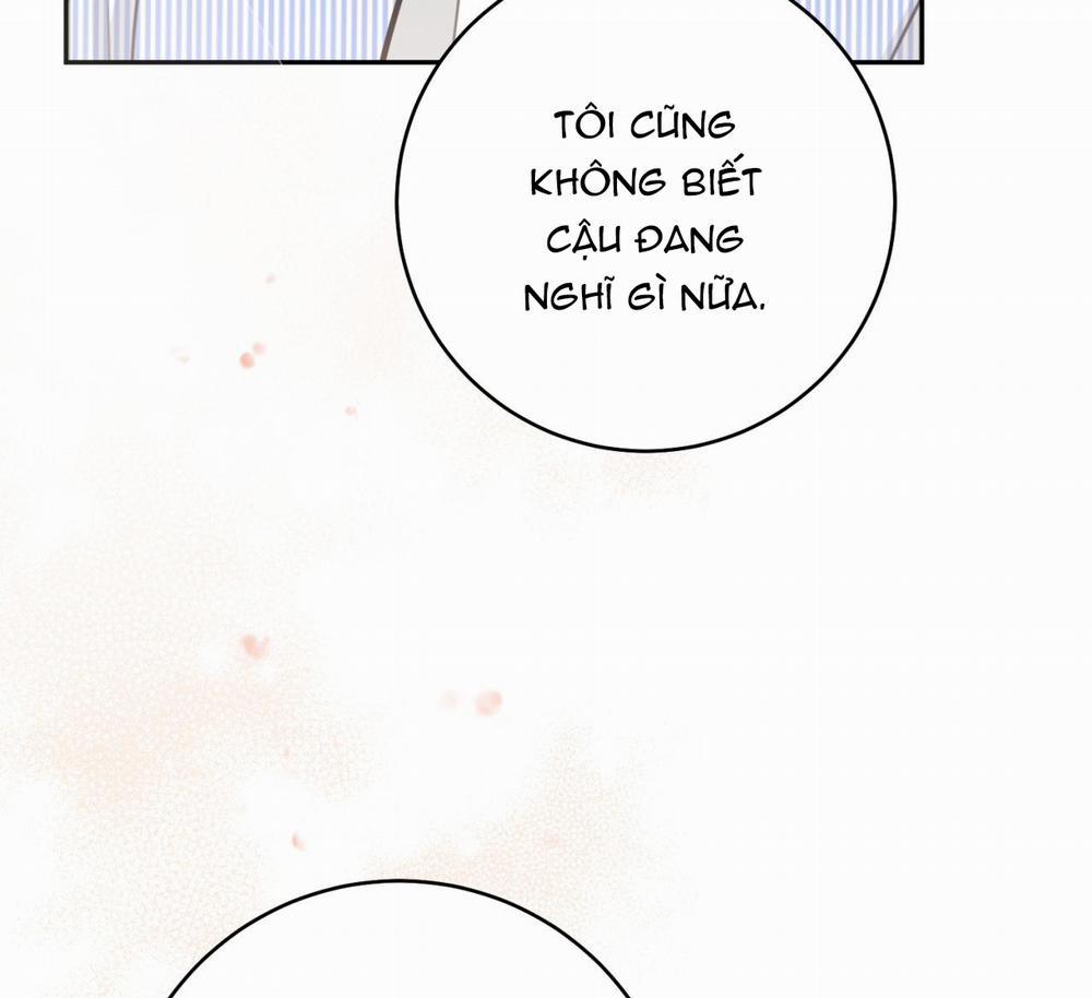 Tình Mình Khó Nói 8 trang 117