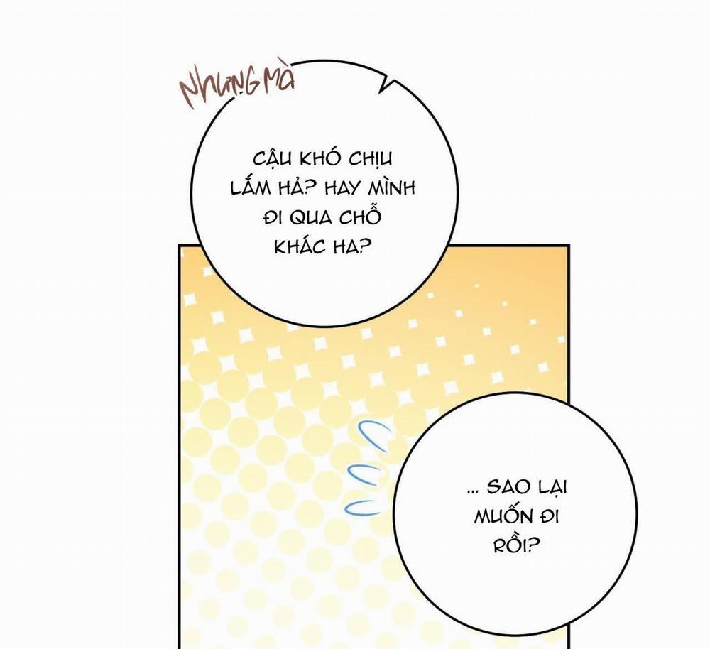 Tình Mình Khó Nói 8 trang 48