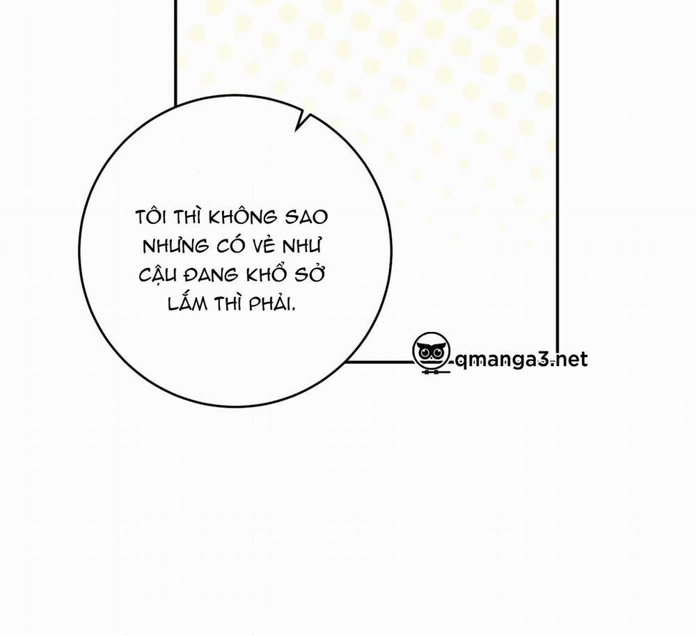 Tình Mình Khó Nói 8 trang 49