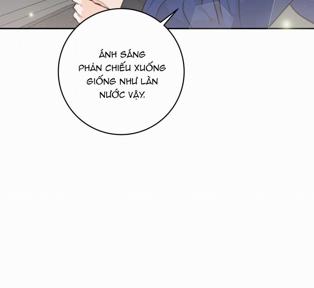 Tình Mình Khó Nói 8 trang 85