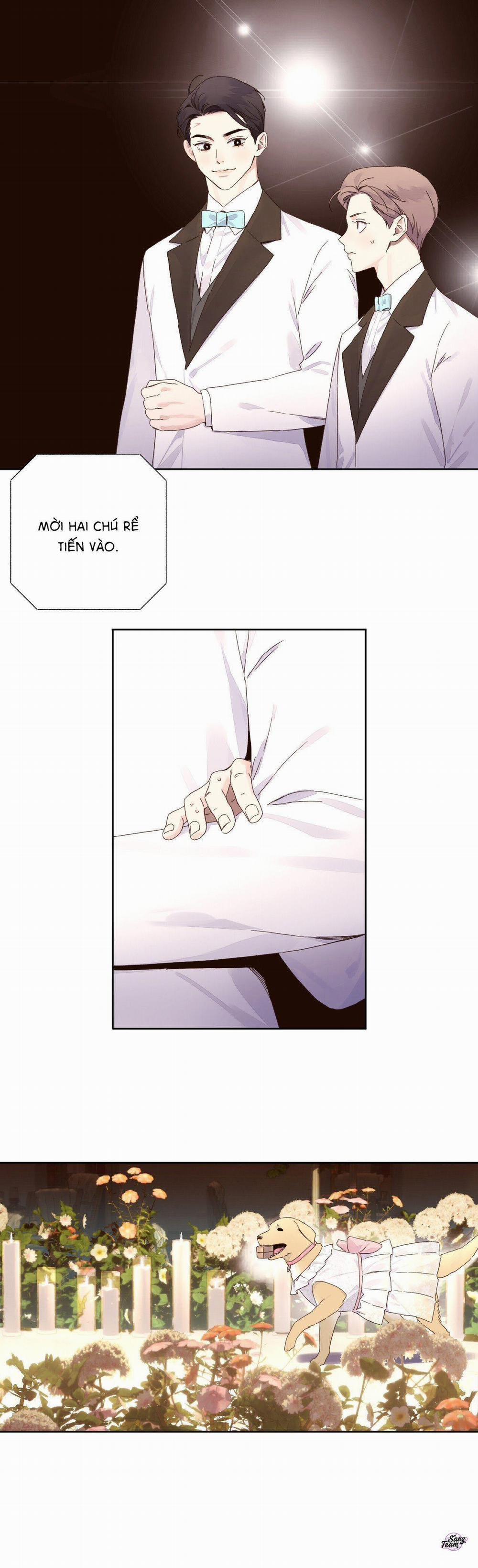 Tình Nhân 4 Tuần 126 trang 8