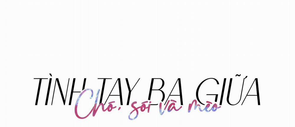 Tình Tay Ba Giữa Chó, Sói Và Mèo 11 trang 42