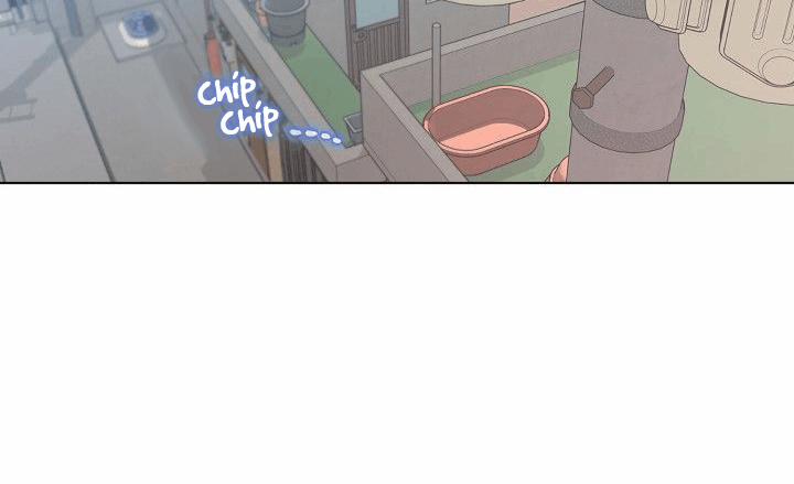 Tình Tay Ba 12 trang 3