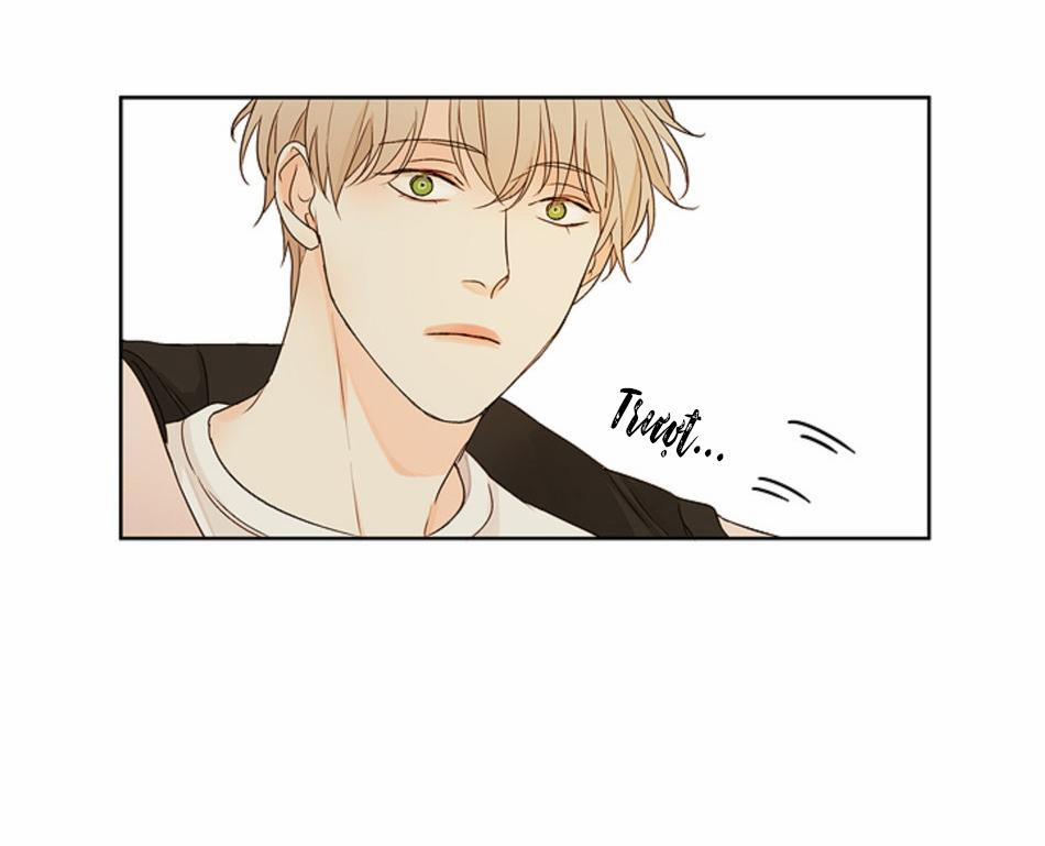 TÌNH TRONG ÁNH MẮT 4 trang 43