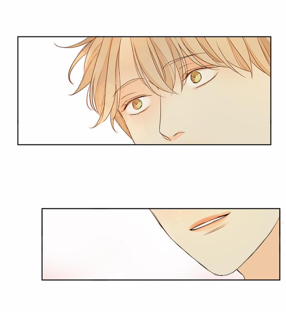 TÌNH TRONG ÁNH MẮT 4 trang 51