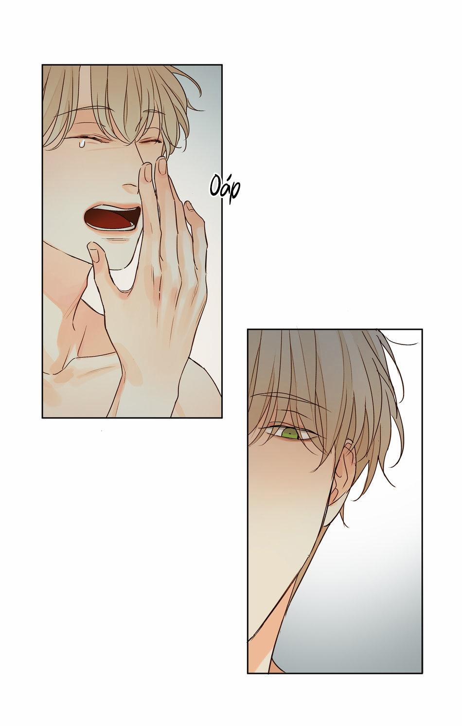 TÌNH TRONG ÁNH MẮT 5 trang 77