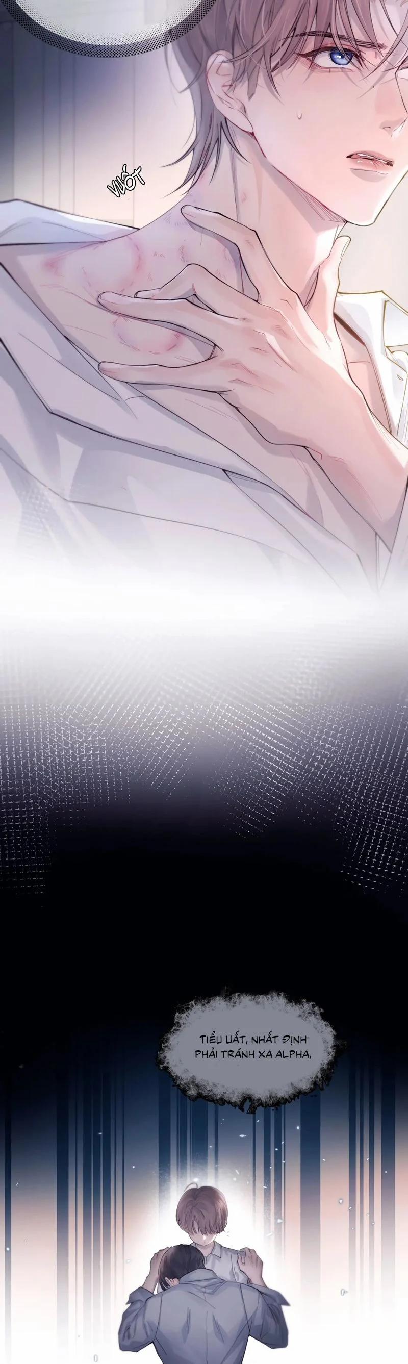 Tinh Vệ 10 trang 5