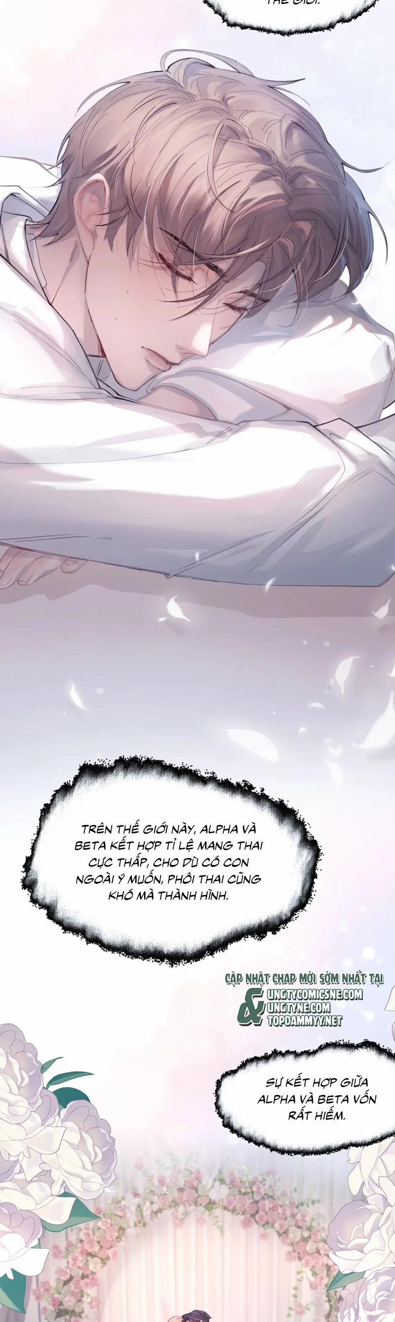 Tinh Vệ 10 trang 8