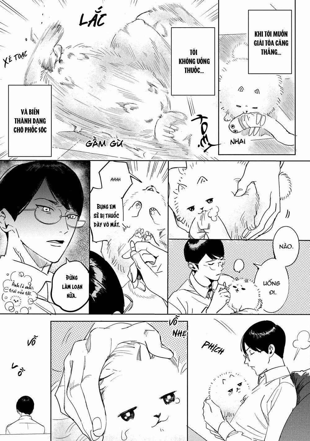 Tình yêu bất chợp ập đến với đôi ta 1 trang 15