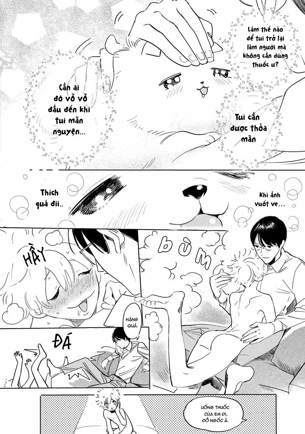 Tình yêu bất chợp ập đến với đôi ta 1 trang 16