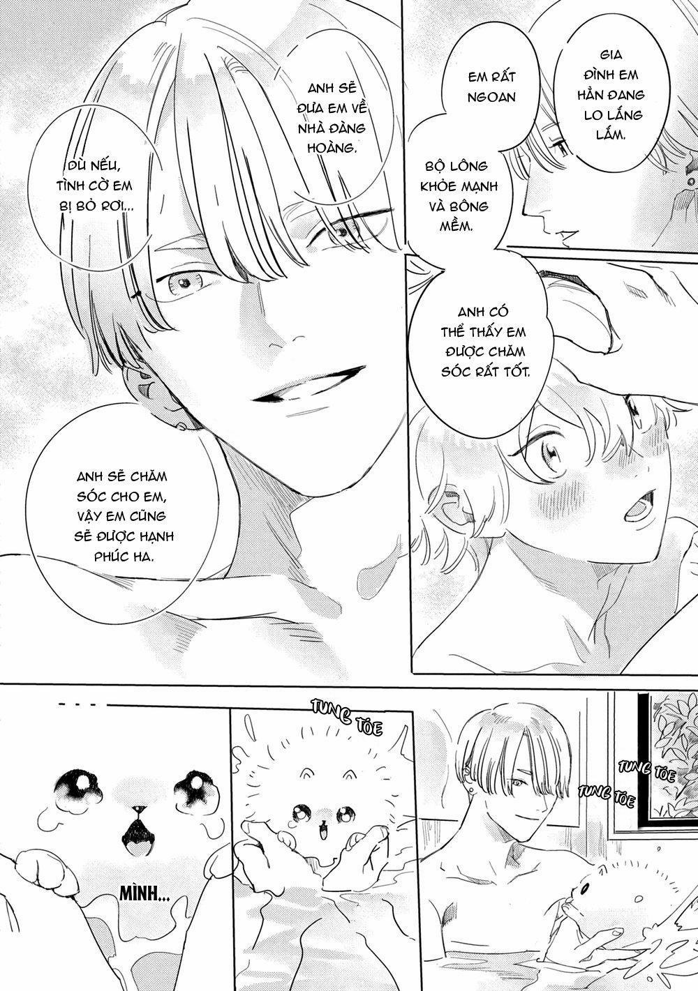 Tình yêu bất chợp ập đến với đôi ta 1 trang 34