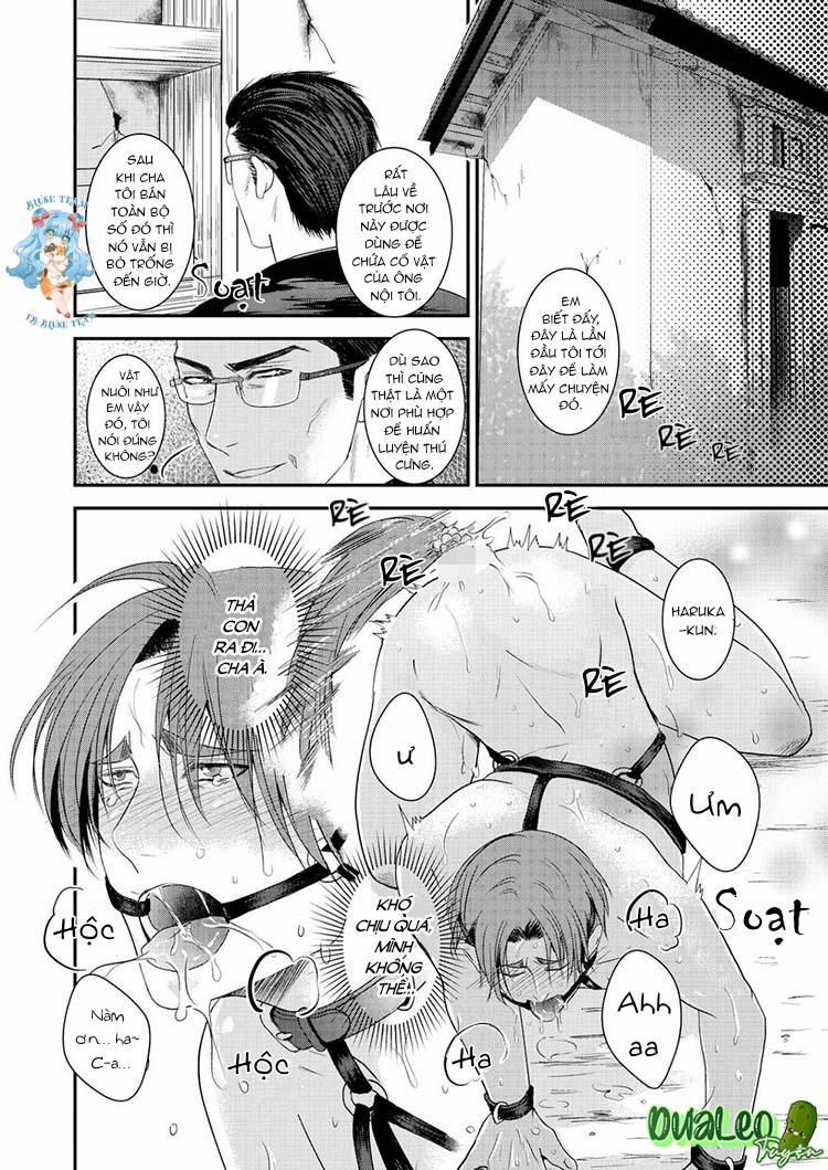 Tình Yêu Bệnh Hoạn 8 trang 4