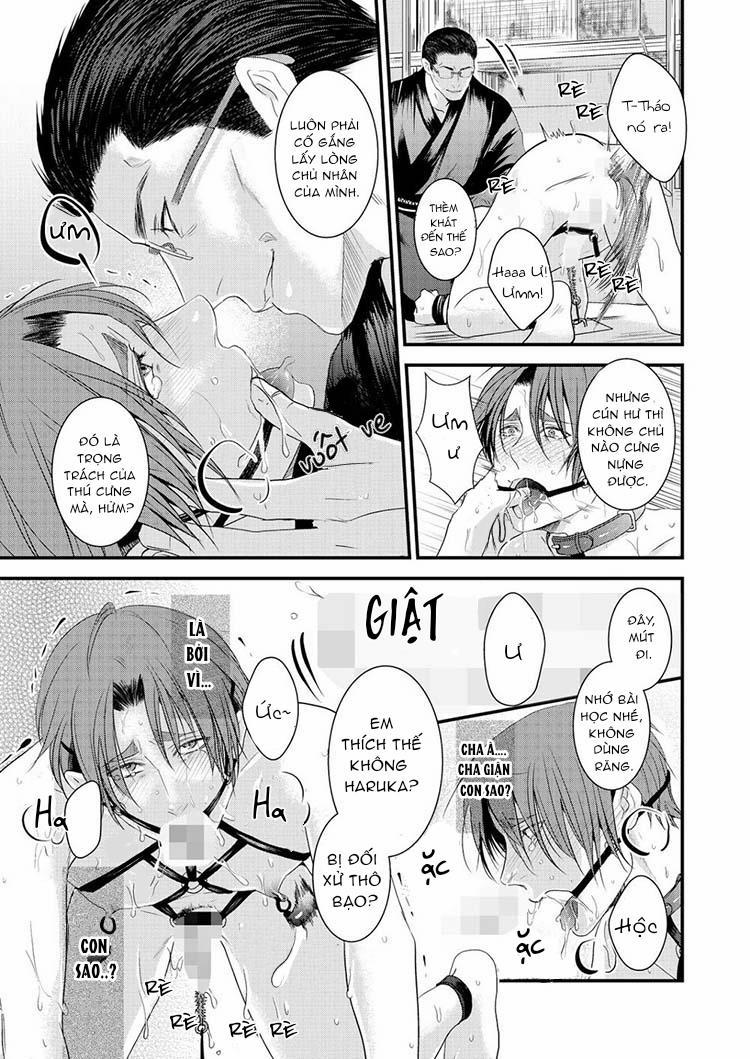 Tình Yêu Bệnh Hoạn 8 trang 5