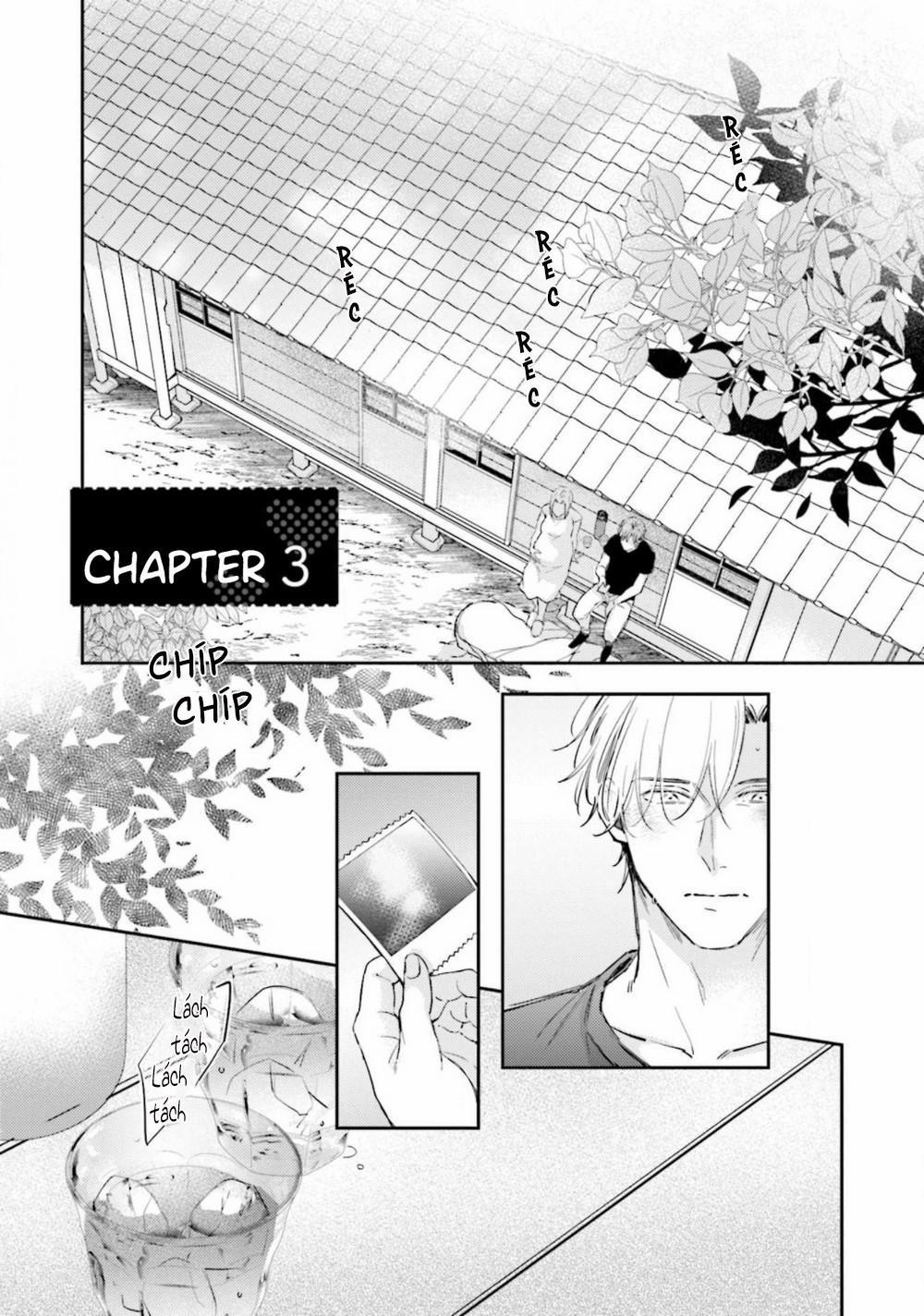 Tình Yêu Của Bố Trẻ Tại Mái Nhà Chung 3 trang 0