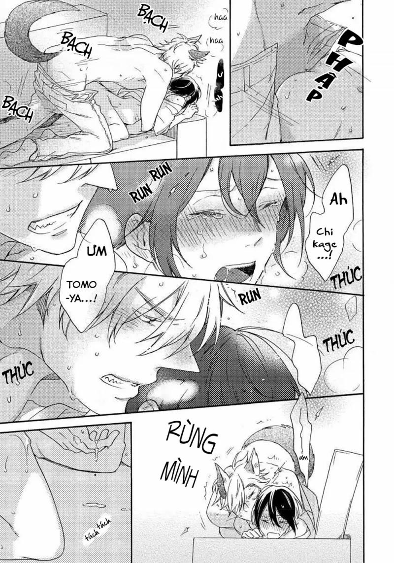 Tình Yêu Của Chàng Sói 3 trang 31