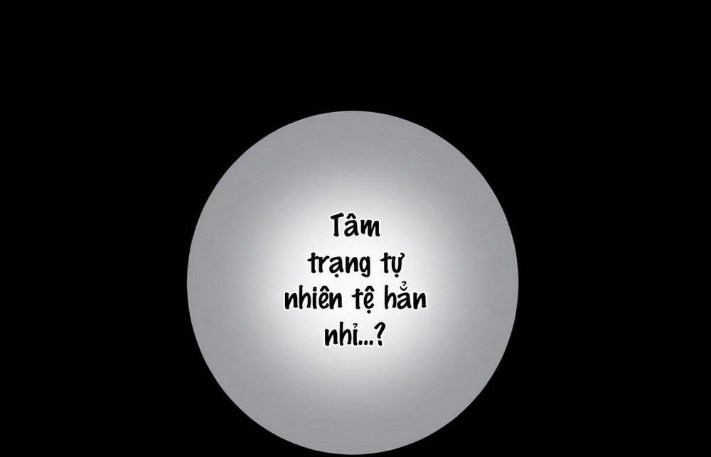 Tình Yêu Của Tôi 11 trang 22