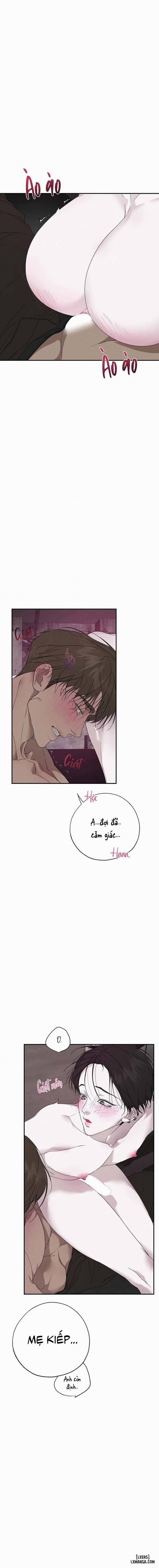 Tình Yêu Cuồng Nhiệt 5 - Hết trang 6