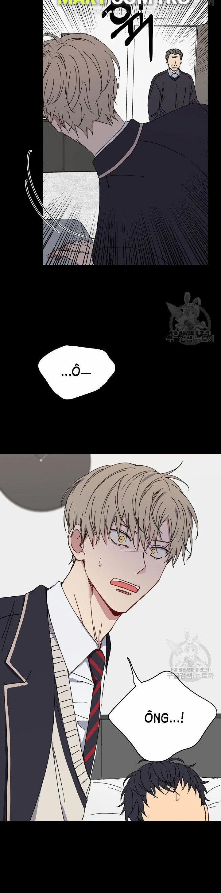 Tình Yêu Đen Đủi 19.2 trang 13