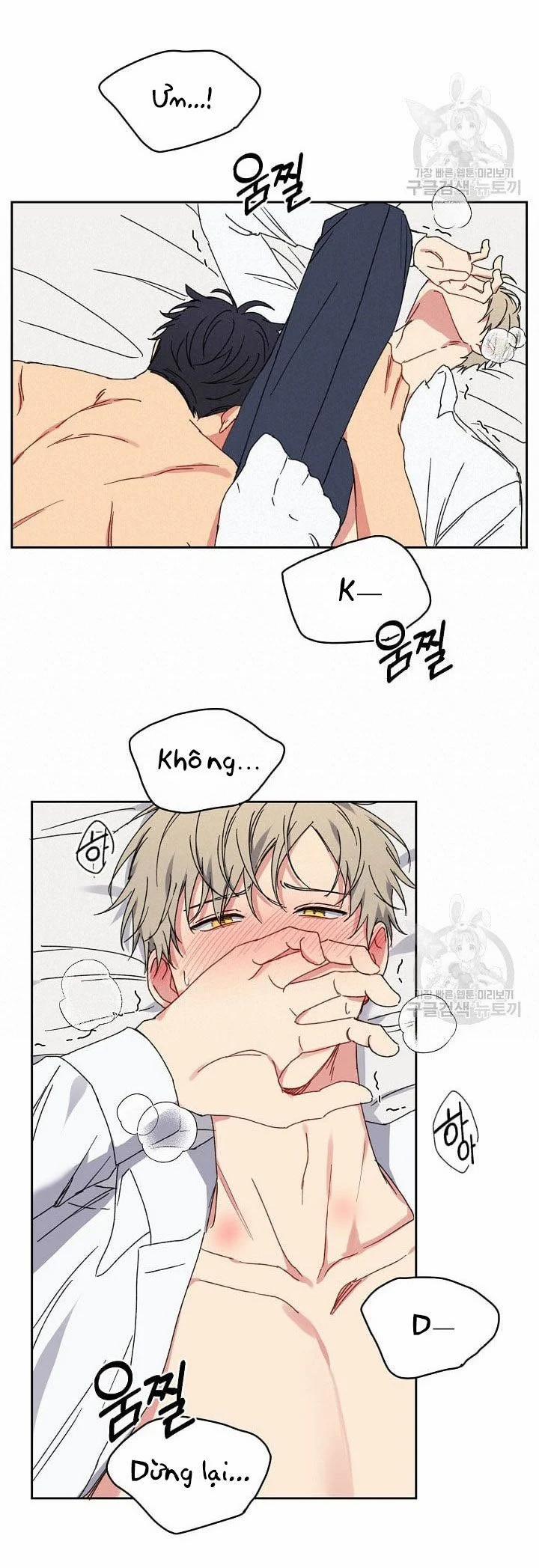 Tình Yêu Đen Đủi 20.1 trang 17