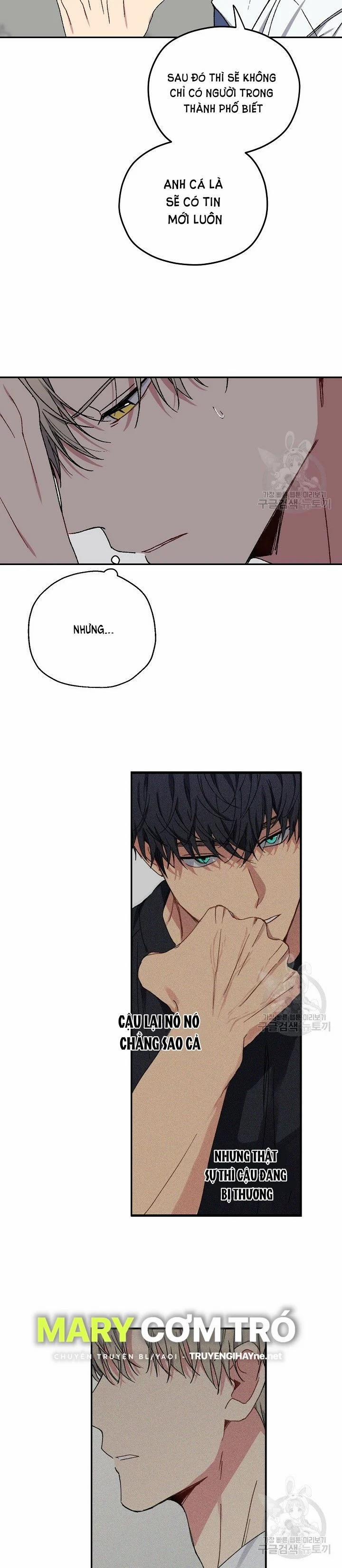 Tình Yêu Đen Đủi 28.2 trang 5