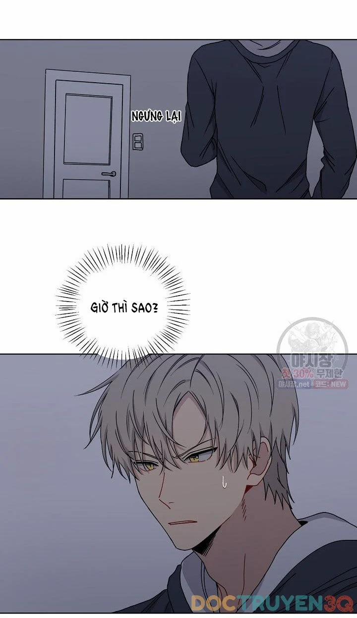 Tình Yêu Đen Đủi 4 trang 12