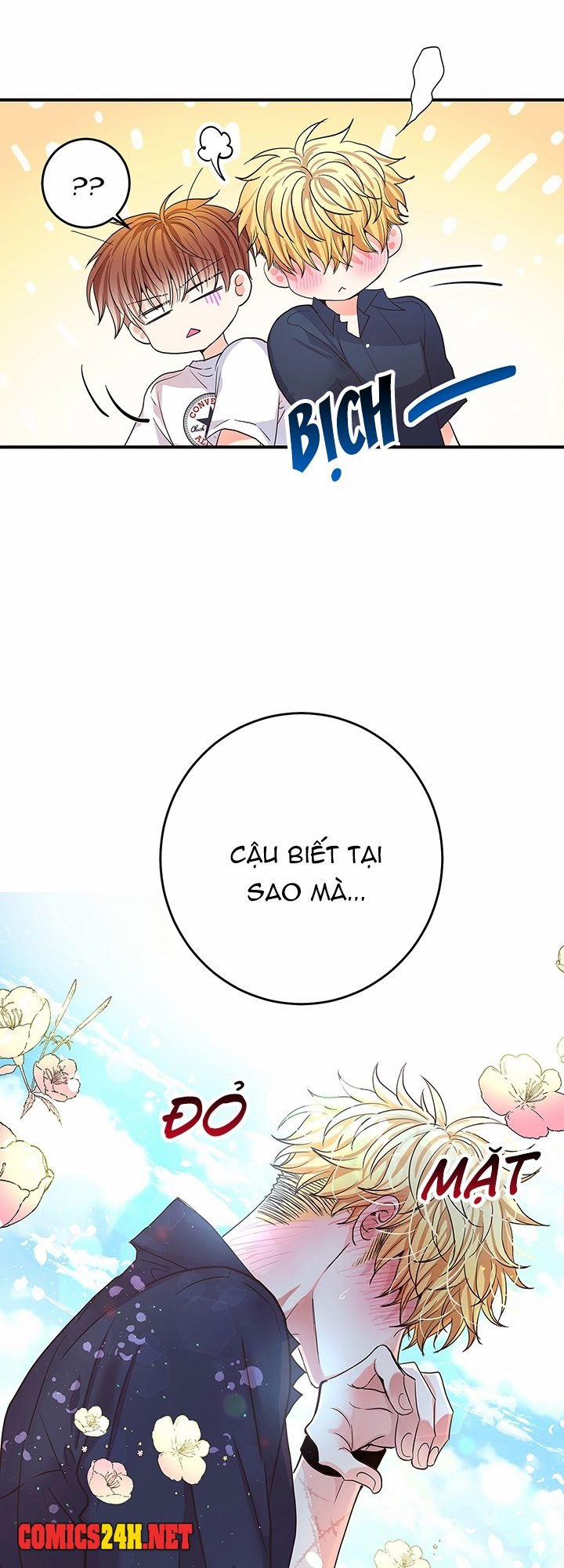 Tình Yêu Đích Thực 11 trang 24