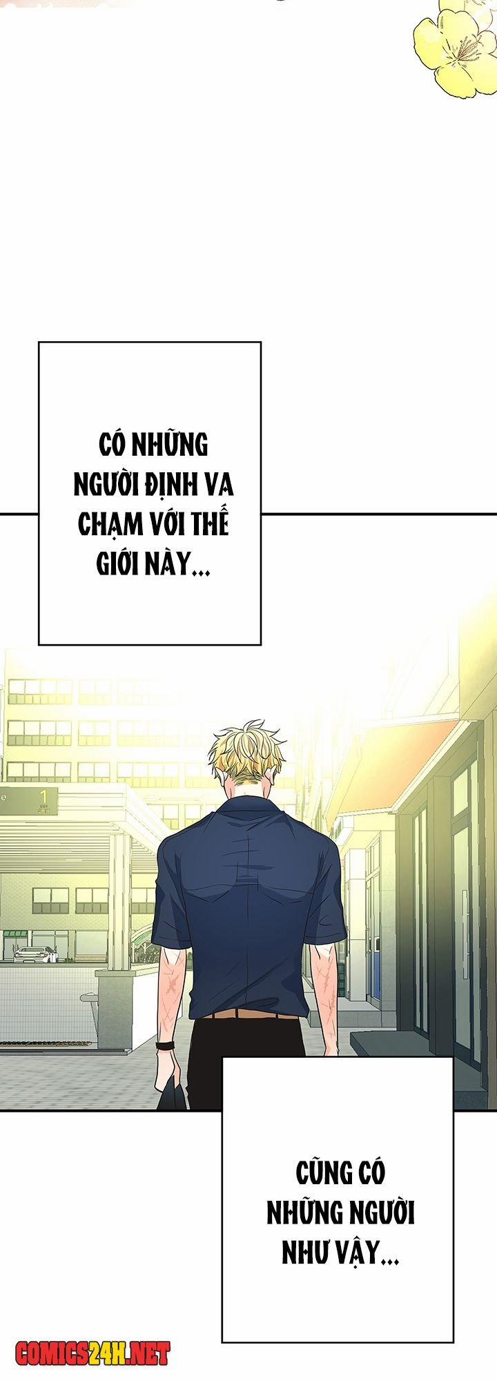 Tình Yêu Đích Thực 11 trang 52