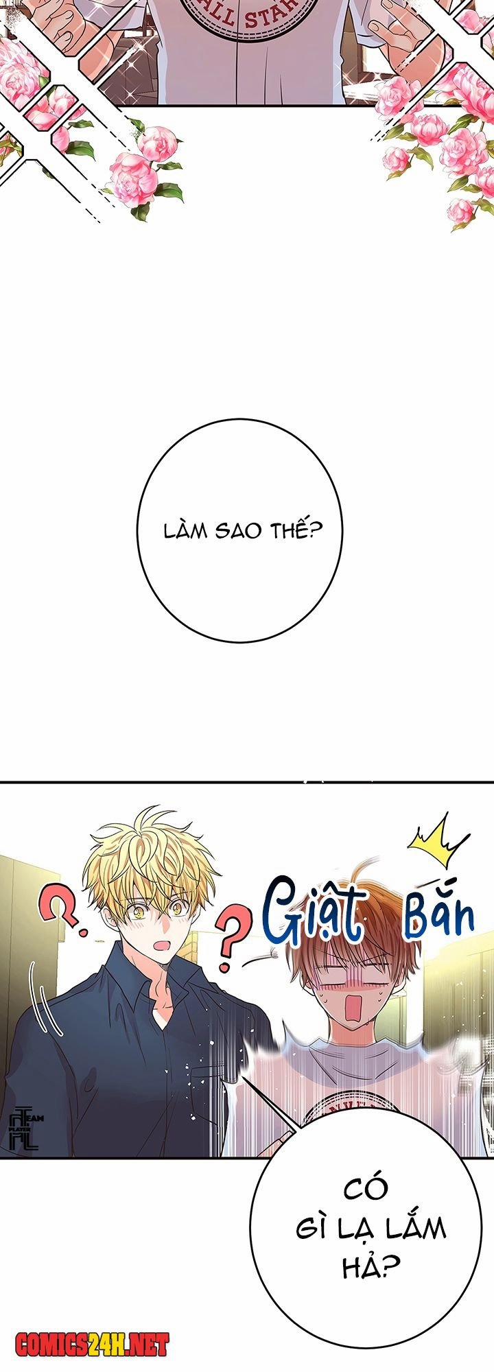 Tình Yêu Đích Thực 12 trang 4