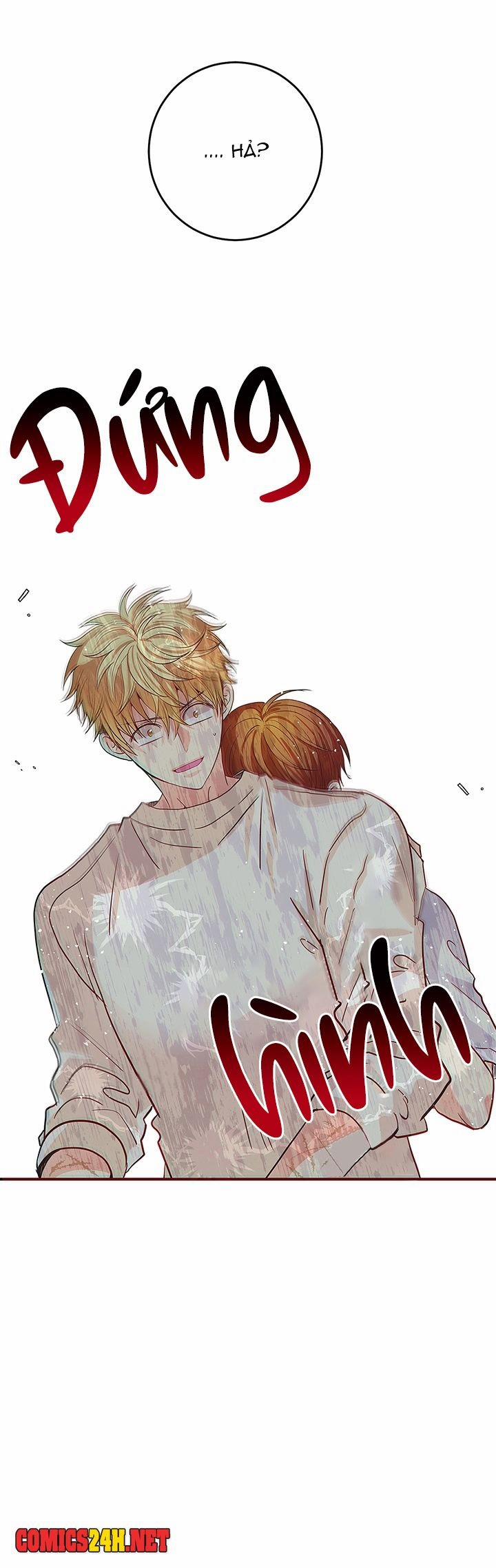 Tình Yêu Đích Thực 13 trang 19