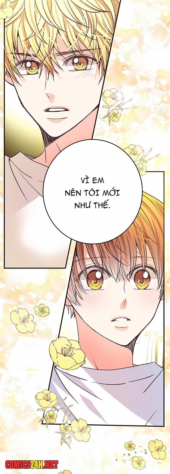 Tình Yêu Đích Thực 13 trang 28