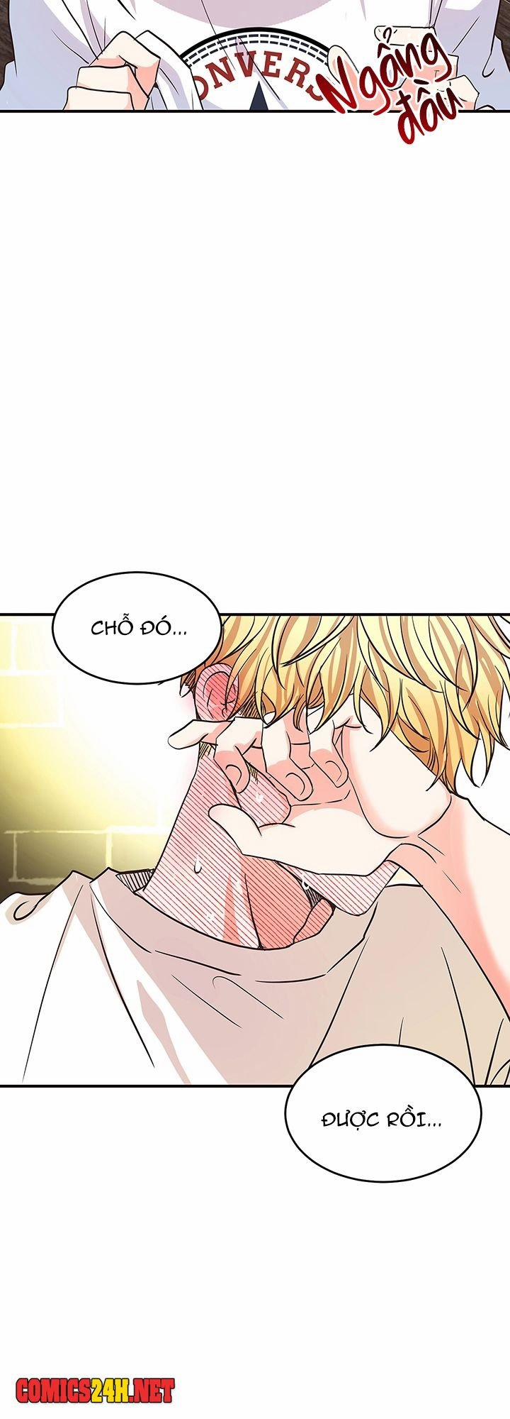 Tình Yêu Đích Thực 13 trang 47