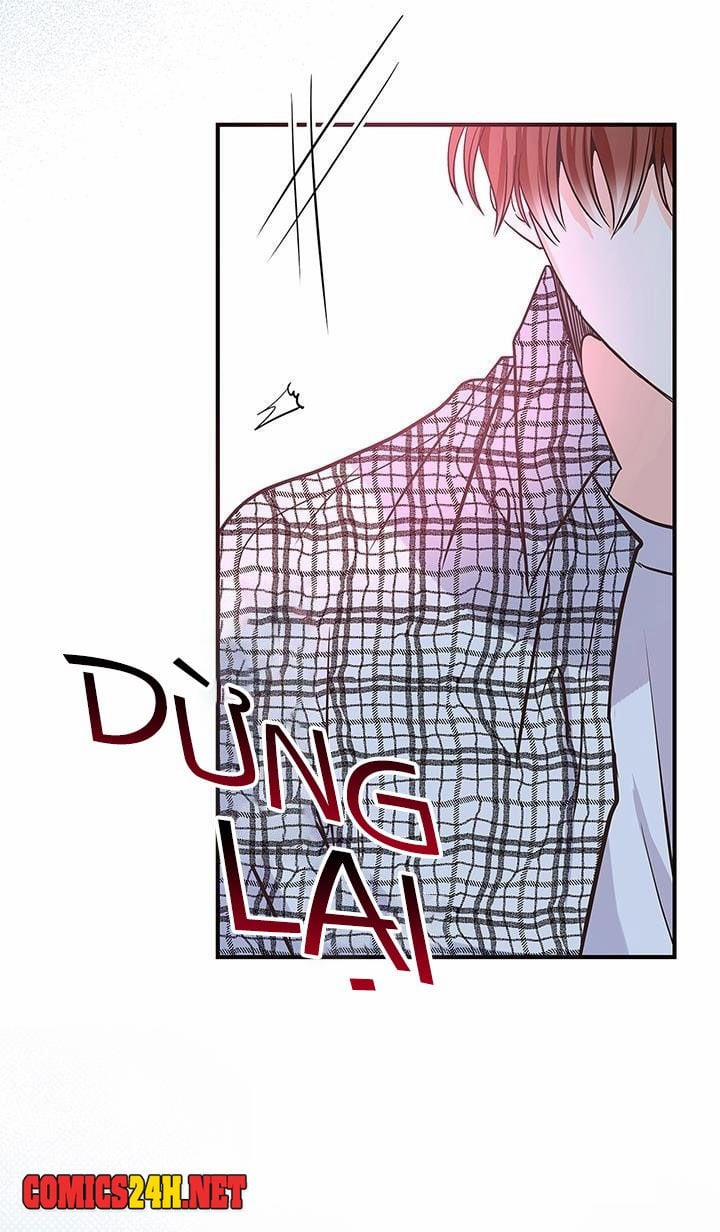 Tình Yêu Đích Thực 14 trang 45