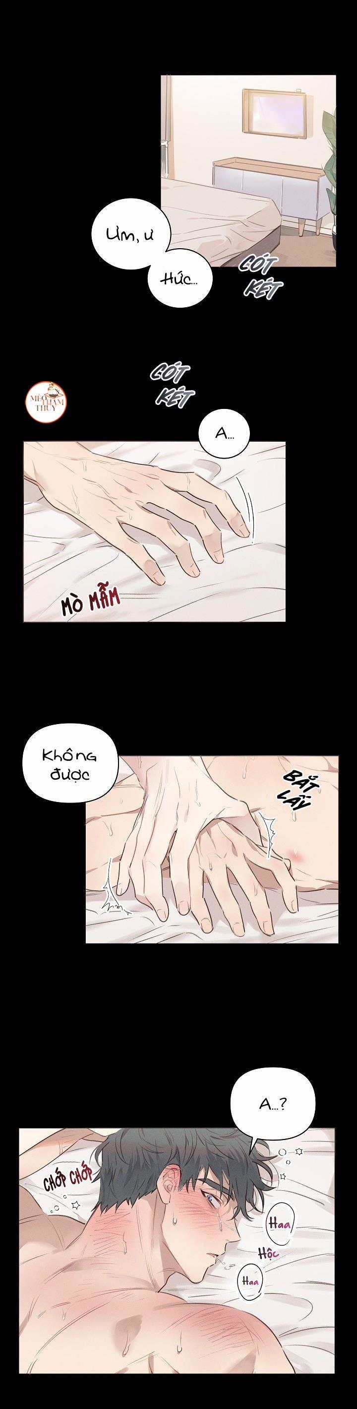 Tình Yêu Định Mệnh 1 trang 0