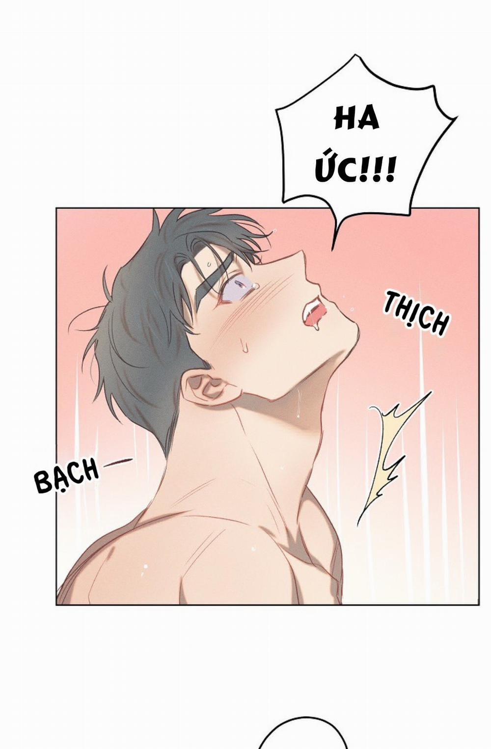 Tình Yêu Định Mệnh 11 trang 21