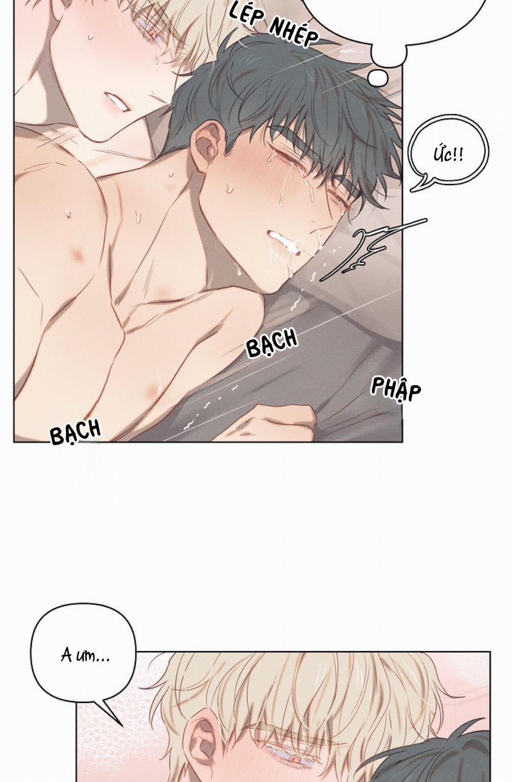 Tình Yêu Định Mệnh 11 trang 42