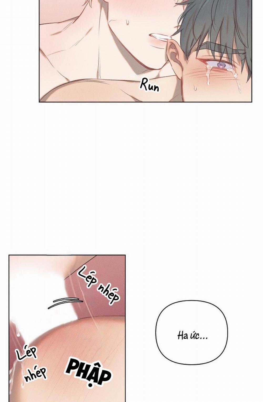 Tình Yêu Định Mệnh 11 trang 43