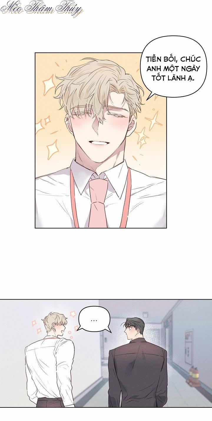 Tình Yêu Định Mệnh 2 trang 0