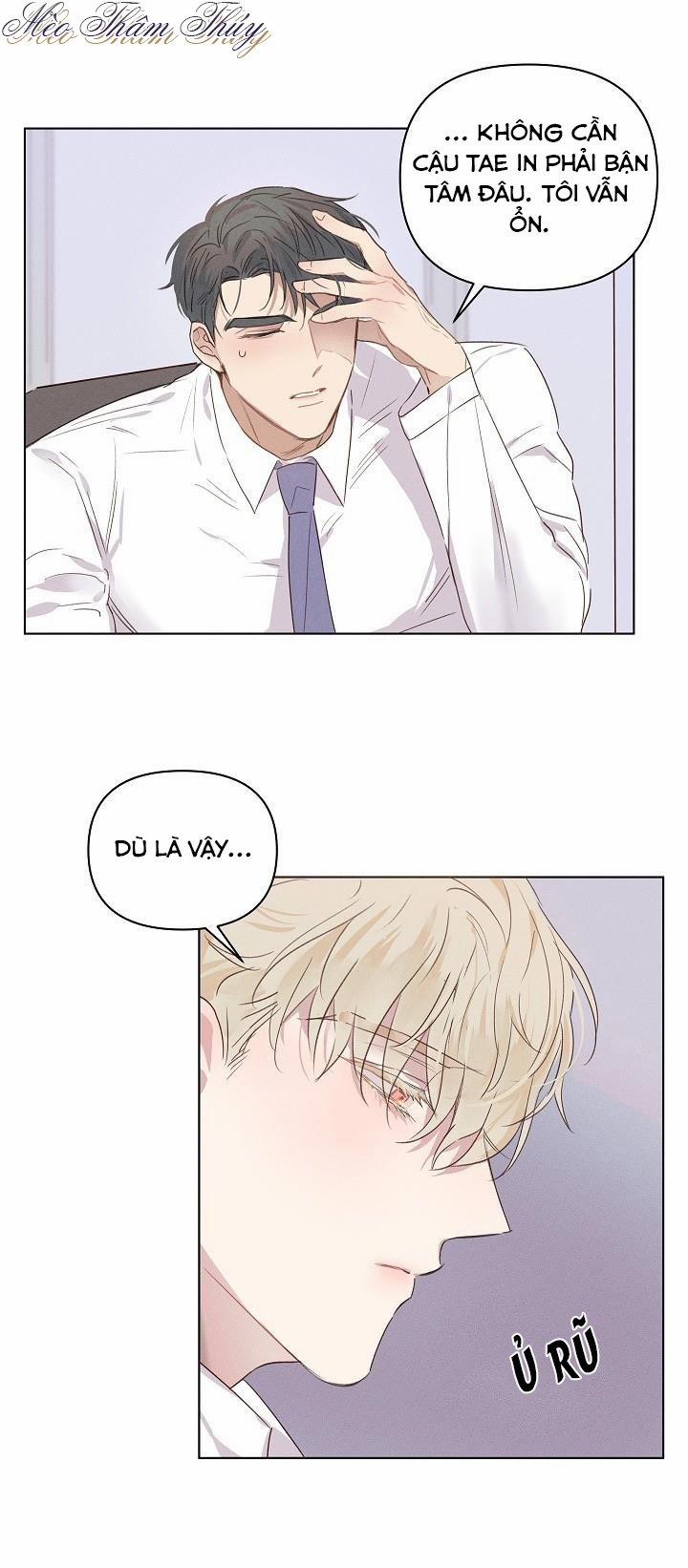 Tình Yêu Định Mệnh 2 trang 8