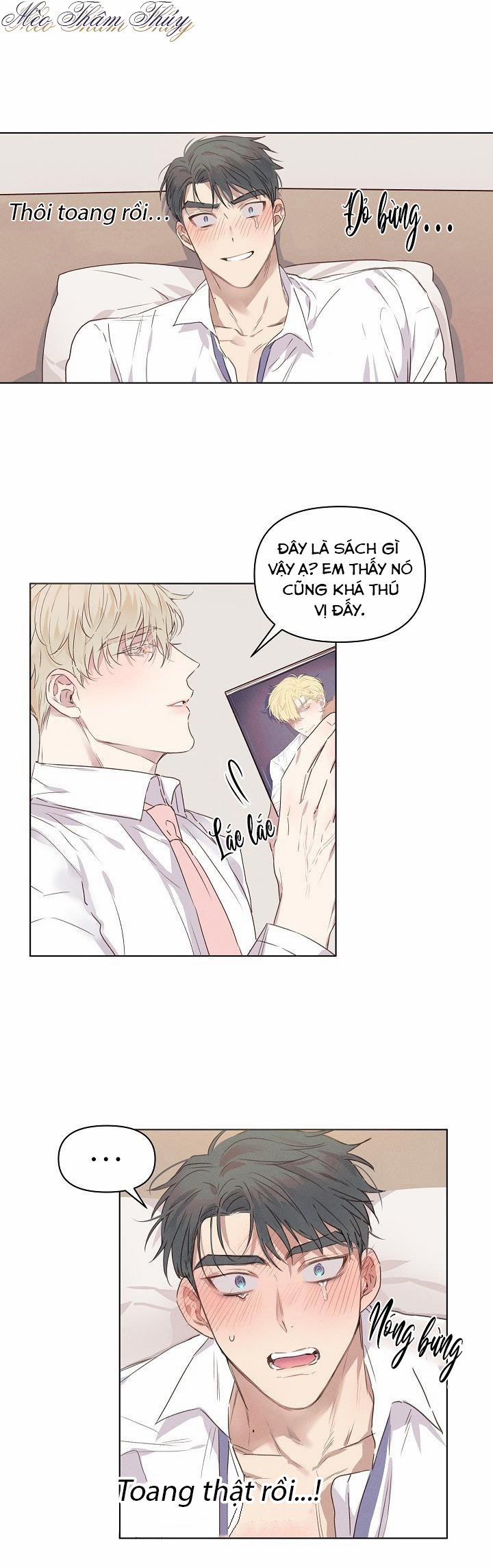 Tình Yêu Định Mệnh 3 trang 0