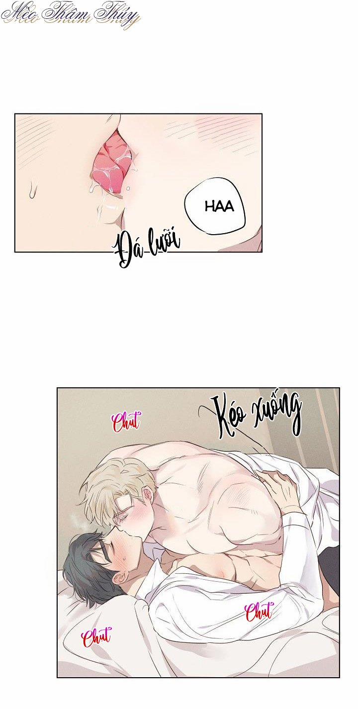 Tình Yêu Định Mệnh 3 trang 12