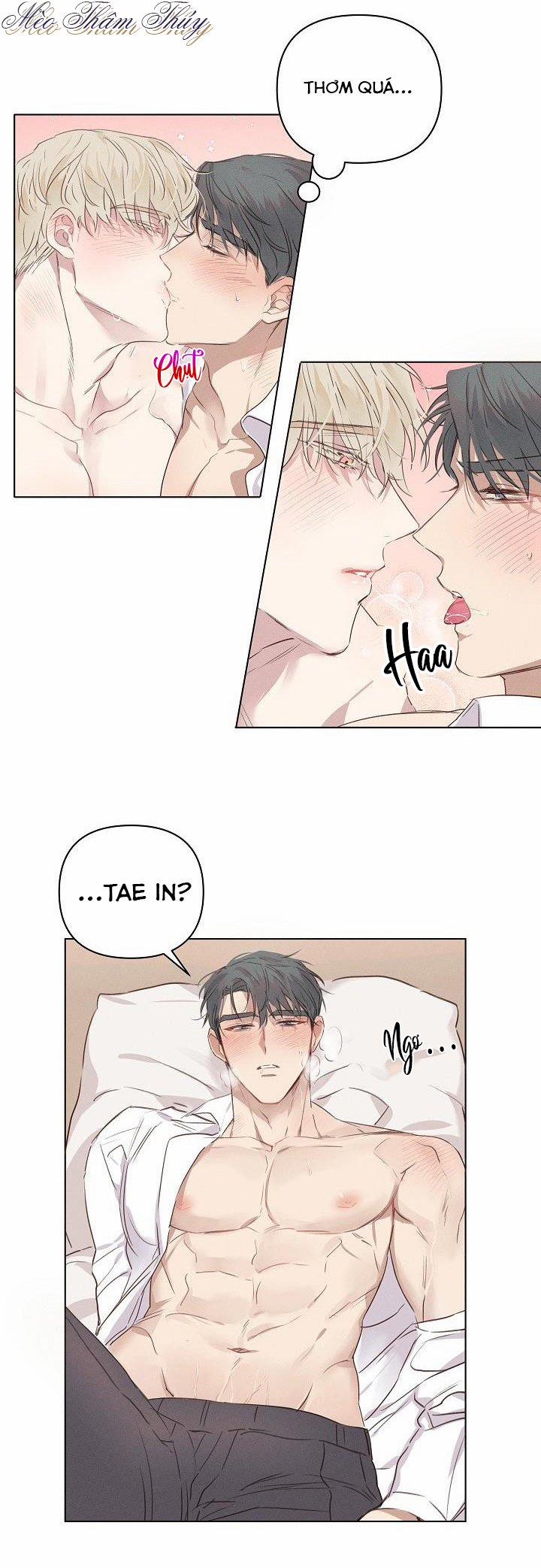 Tình Yêu Định Mệnh 3 trang 13